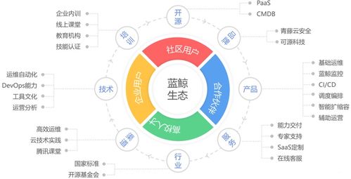 企业IT运维管理转型 从成本中心到价值引擎的必然选择