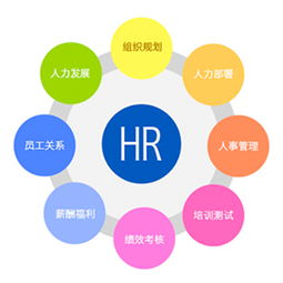 福建哪家管理咨询公司资深 企业管理咨询